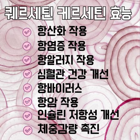 퀘르세틴 브로멜라인 효능 8가지 부작용 여드름 질염 비염 케르세틴 - 대한민국 건강리포트 퀘르세틴 브로멜라인 효능 8가지 부작용 여드름 질염 비염 케르세틴 - 대한민국 건강리포트