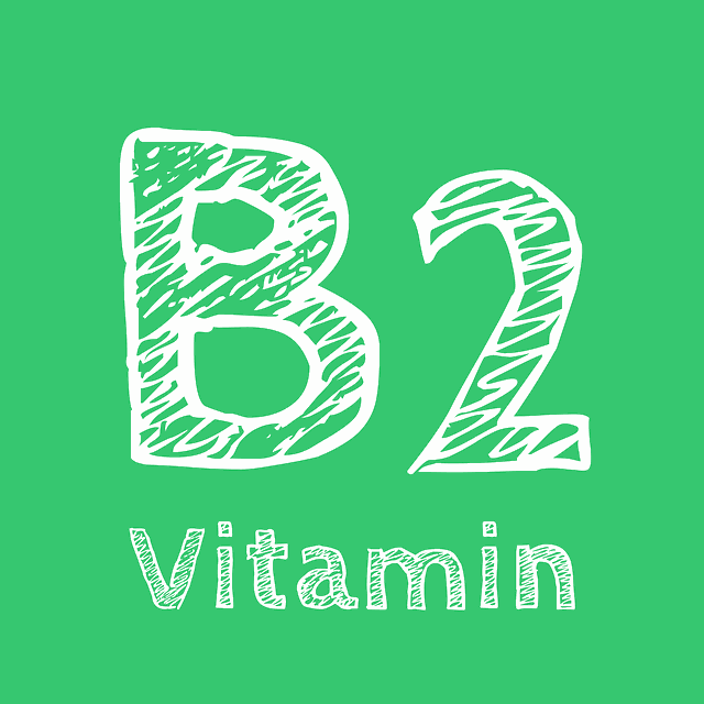 비타민b12