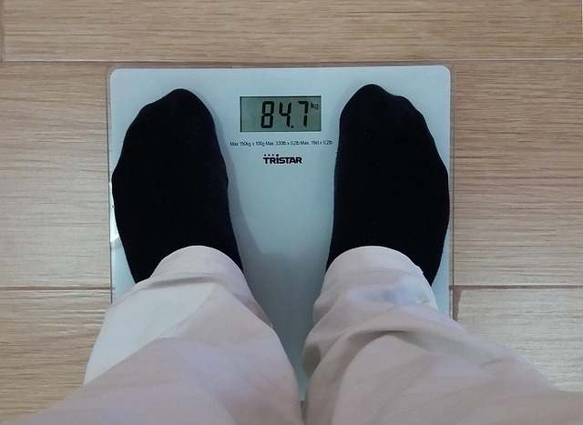 마운자로 위고비