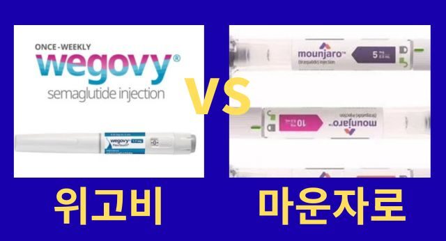 위고비