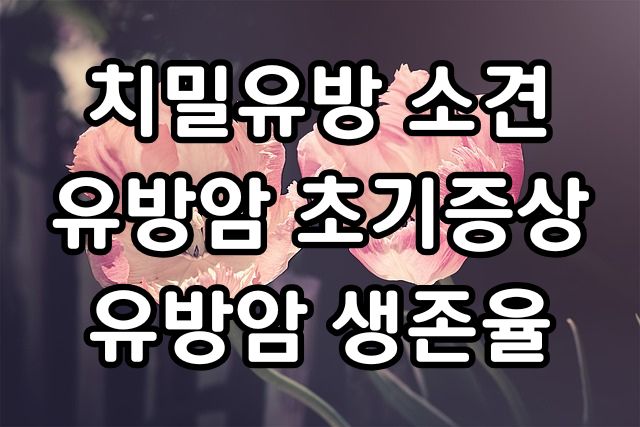 치밀유방
