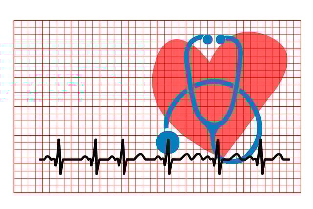 부정맥에 좋은 음식